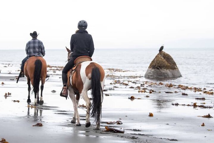 Beach Horse Riding Experience in Homer
