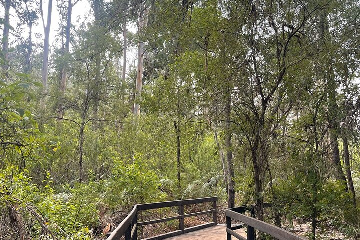 Margaret River, Caves, Wine and Cape Leeuwin Lighthouse Tour from Perth