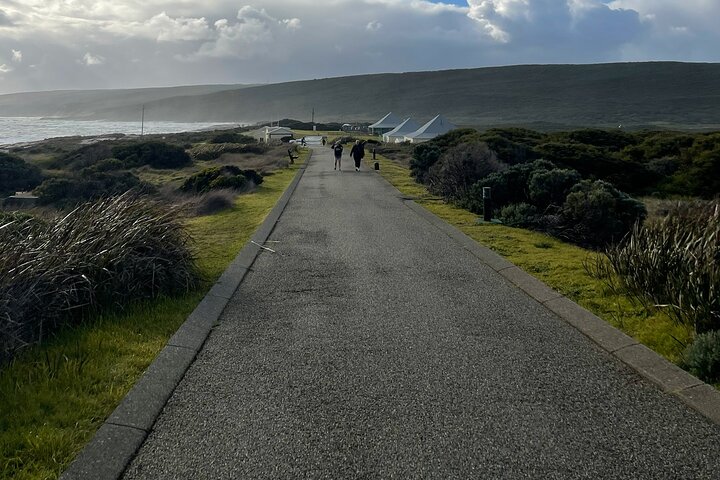Margaret River, Caves, Wine and Cape Leeuwin Lighthouse Tour from Perth