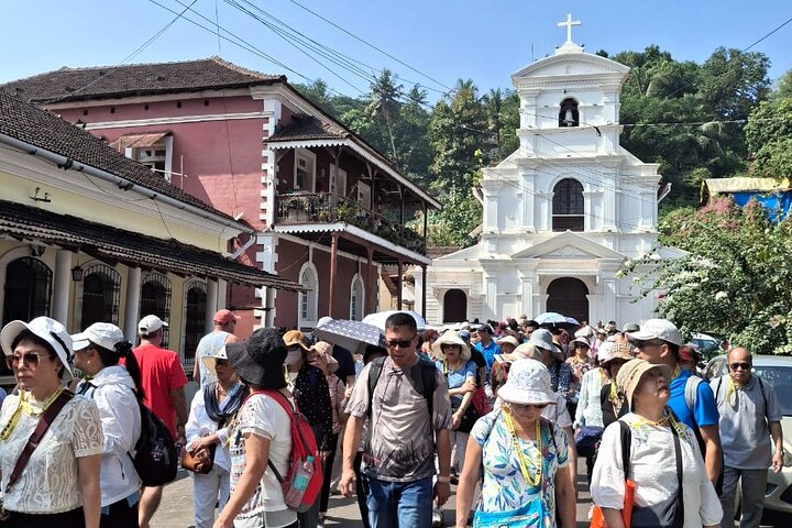 Discover the Treasures of Goa: A Full-Day Shore Excursion Tour