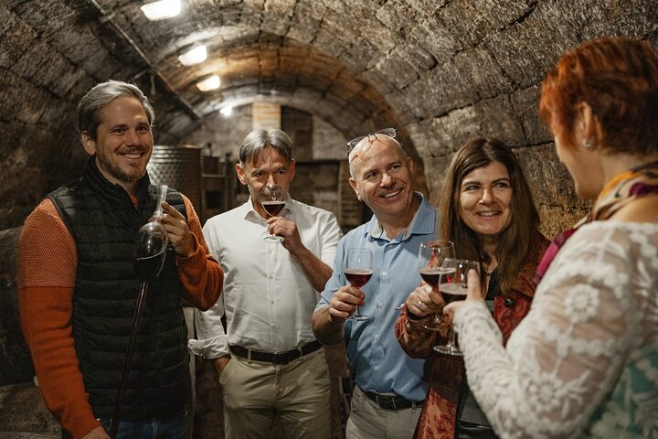Countryside Half-day Gastro-Wine Tour from Budapest Meal & pickup