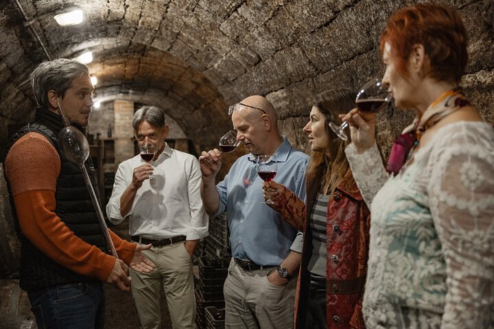 Countryside Half-day Gastro-Wine Tour from Budapest Meal & pickup