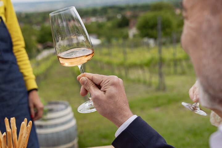 Countryside Half-day Gastro-Wine Tour from Budapest Meal & pickup