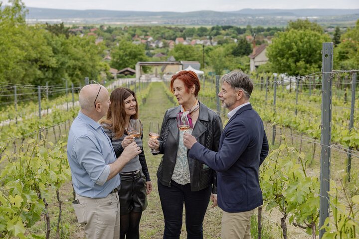 Countryside Half-day Gastro-Wine Tour from Budapest Meal & pickup