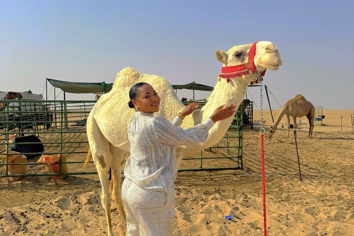 Full Day licensed Tours in Kuwait City & Desert PickUp & DropOff