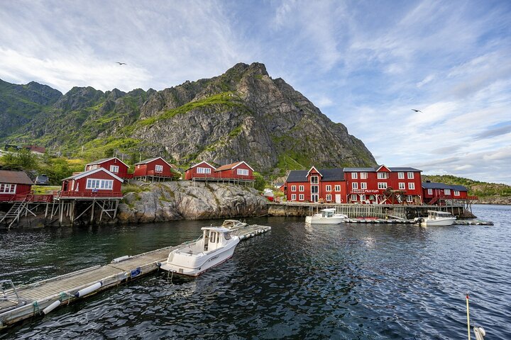 Shore Excursion Full day Private Tour in Lofoten
