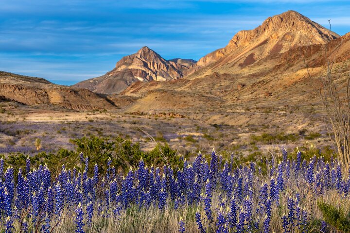 Big Bend & Guadalupe National Parks GPS Audio Driving Tour Bundle
