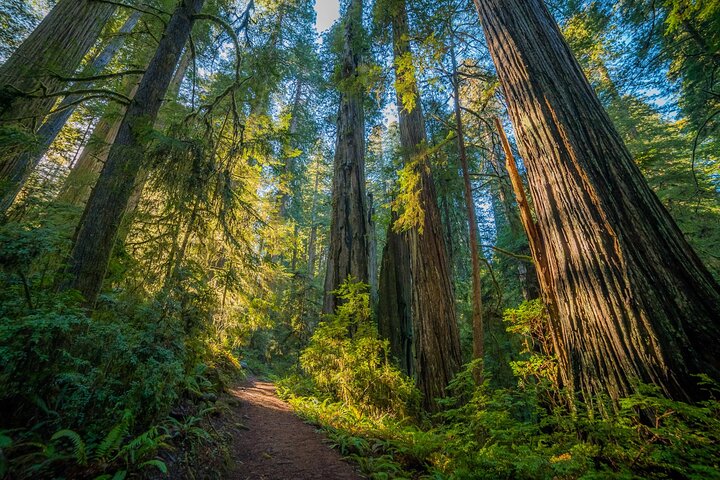 US West National Parks Driving and Walking Audio Tour Bundle