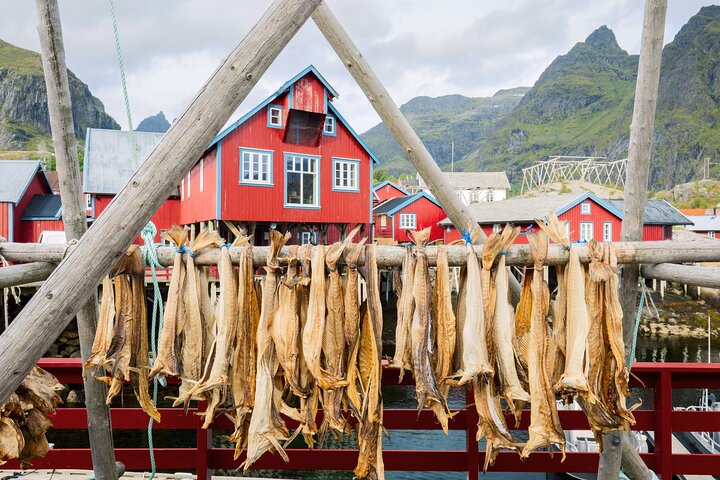 Shore Excursion Full day Private Tour in Lofoten
