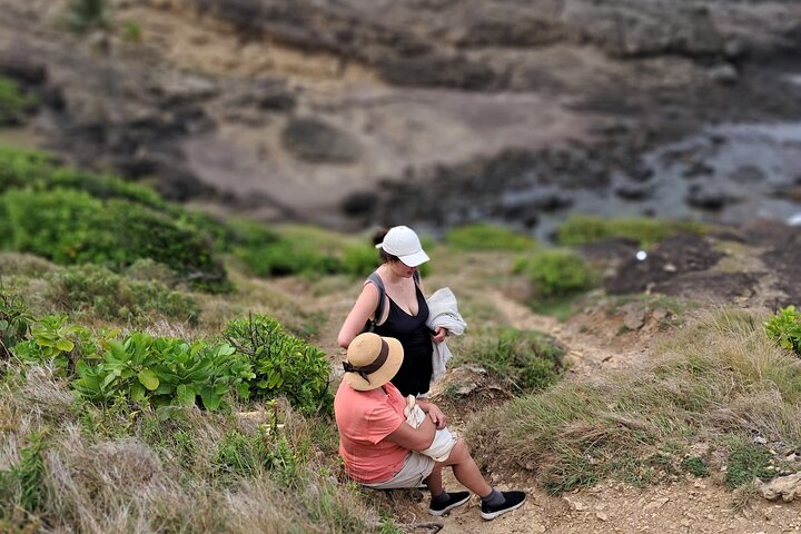 Private Tour: Southern Martinique by Prestige Vehicle