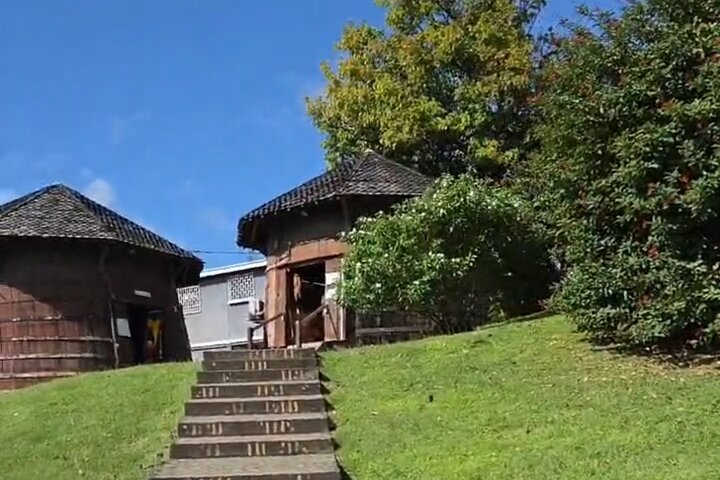 Private Tour: Southern Martinique by Prestige Vehicle