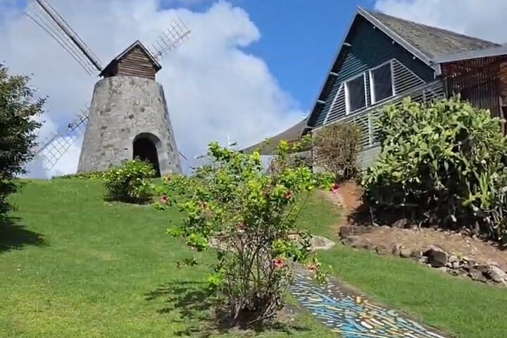 Private Tour: Southern Martinique by Prestige Vehicle