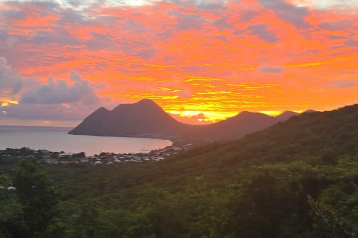Private Tour: Southern Martinique by Prestige Vehicle
