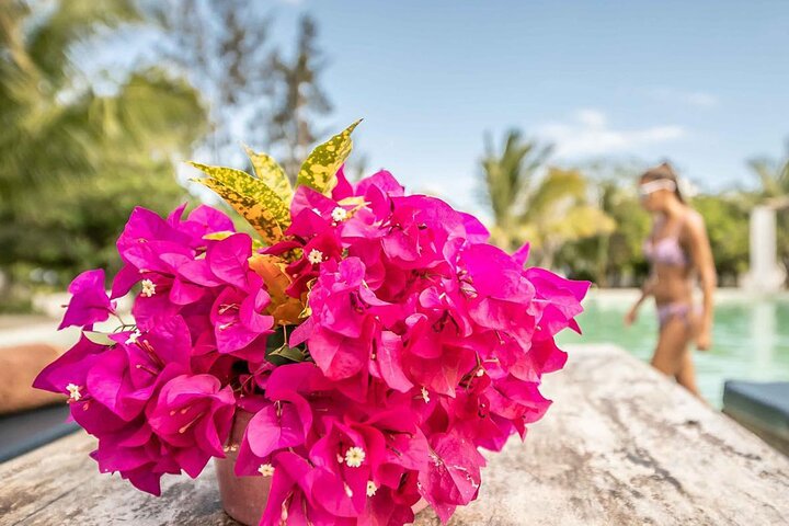 7 Days in Pemba Island: Where Untouched Paradise Reveals Itself