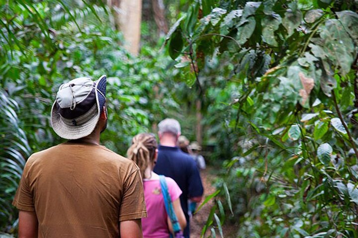 Pemba: 5 Days of Pure Bliss on Zanzibar’s Hidden Green Paradise