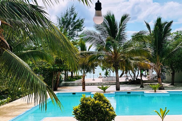 7 Days in Pemba Island: Where Untouched Paradise Reveals Itself