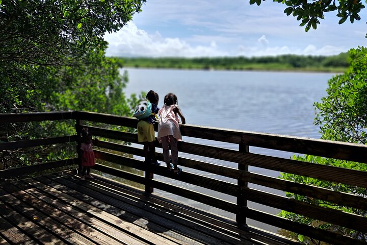 Private Tour: Southern Martinique by Prestige Vehicle