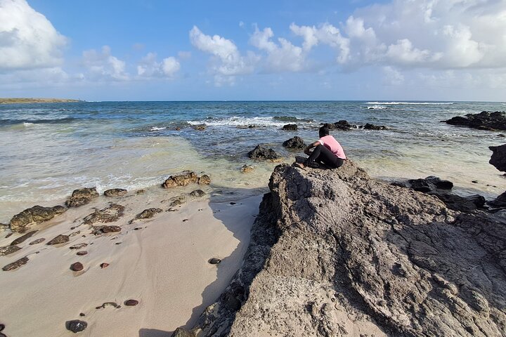 Private Tour: Southern Martinique by Prestige Vehicle