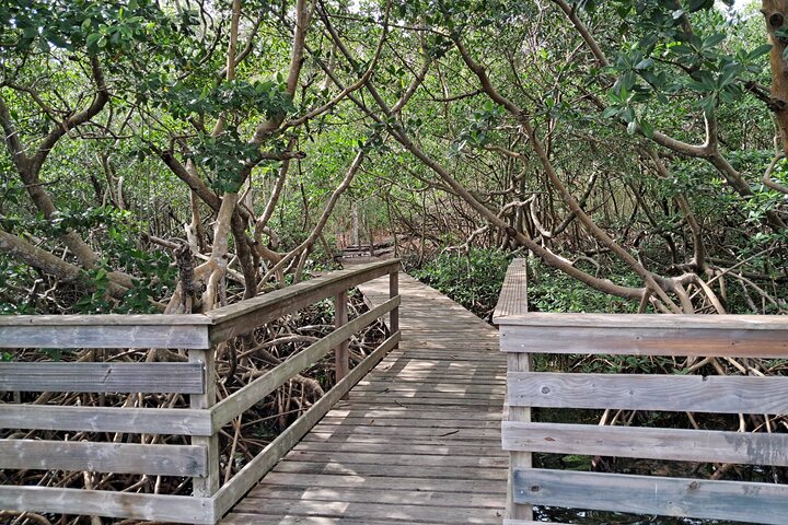 Private Tour: Southern Martinique by Prestige Vehicle