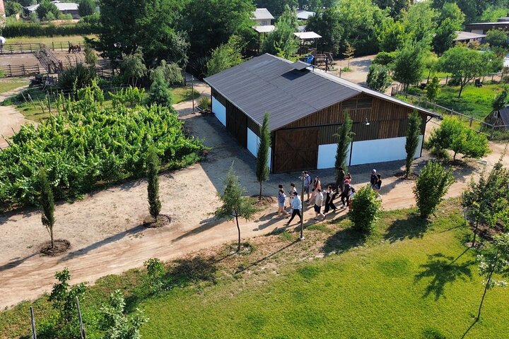 Maipo Valley Wine Tour with 4 vineyards from Santiago.