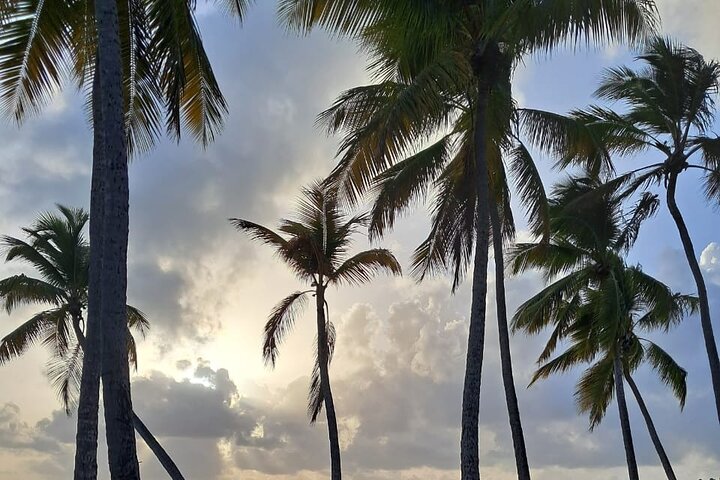 Private Tour: Southern Martinique by Prestige Vehicle