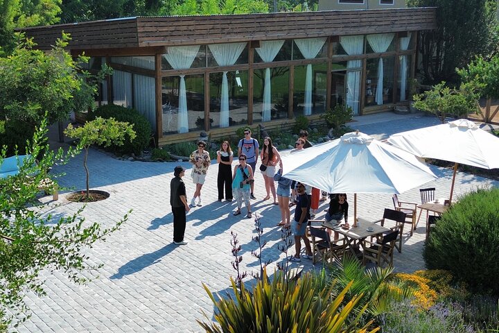 Maipo Valley Wine Tour with 4 vineyards from Santiago.
