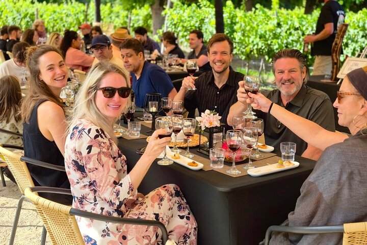 Maipo Valley Wine Tour with 4 vineyards from Santiago.