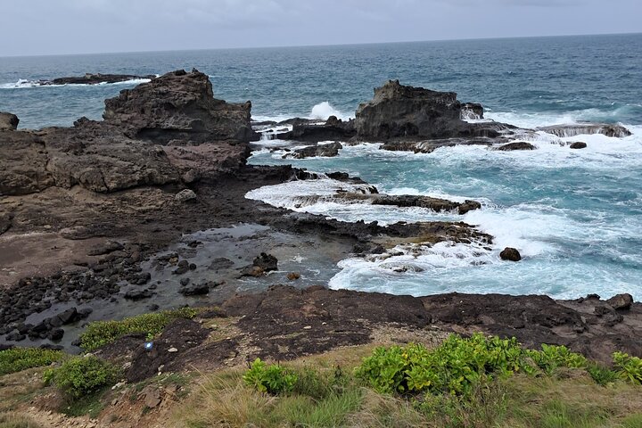 Private Tour: Southern Martinique by Prestige Vehicle