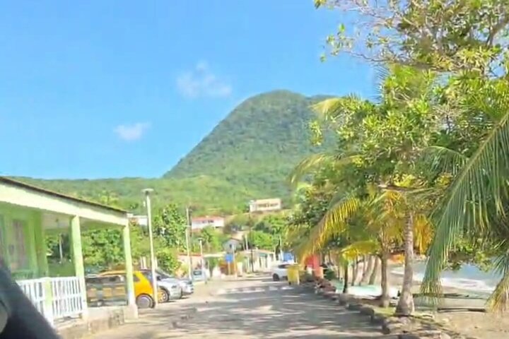 Private Tour: Southern Martinique by Prestige Vehicle