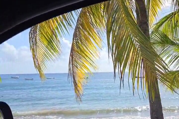 Private Tour: Southern Martinique by Prestige Vehicle
