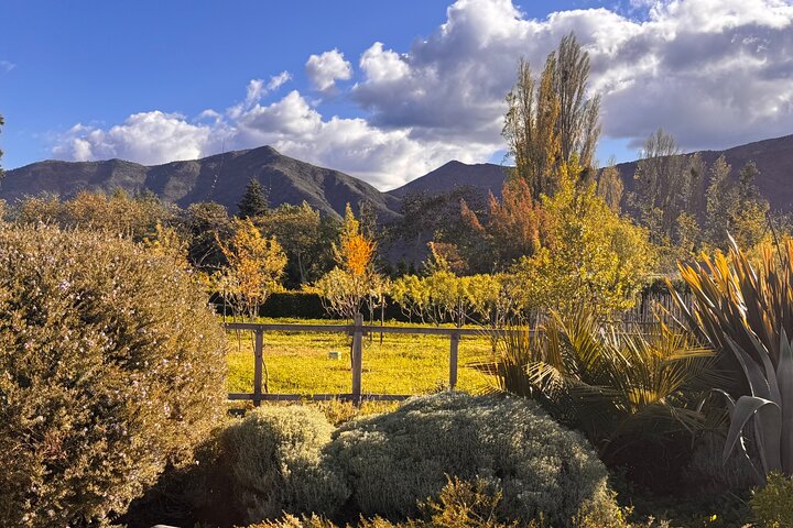 Maipo Valley Wine Tour with 4 vineyards from Santiago.