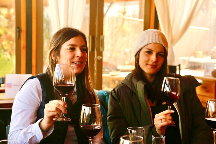 Maipo Valley Wine Tour with 4 vineyards from Santiago.