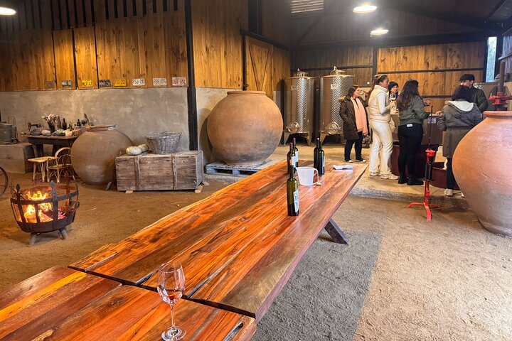 Maipo Valley Wine Tour with 4 vineyards from Santiago.