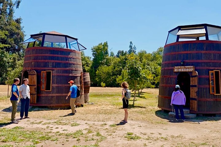 Maipo Valley Wine Tour with 4 vineyards from Santiago.