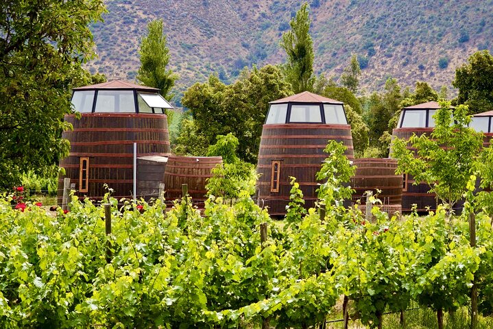 Maipo Valley Wine Tour with 4 vineyards from Santiago.