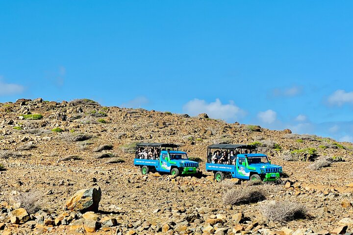 Aruba Jeep Tour: Natural Pool, Caves and Baby Beach Adventure
