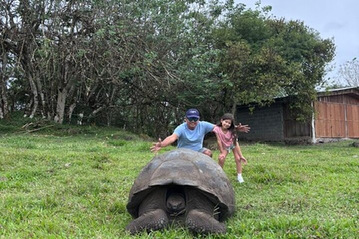 Santa Cruz Highlands Tour with Tortoise and Lava Tunnels