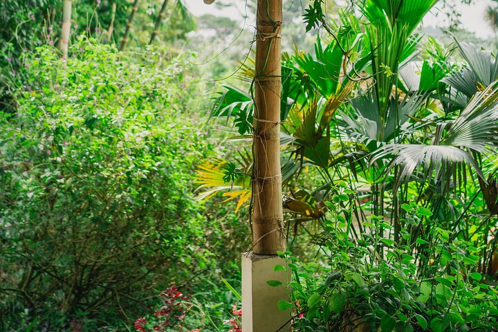 Jungle experiences, 3 days 2 nights
