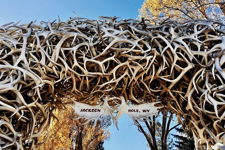 4-Day Salt Lake City, Grand Teton, Yellowstone National Park Tour