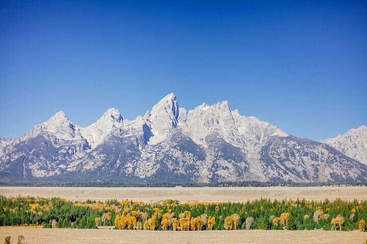 4-Day Salt Lake City, Grand Teton, Yellowstone National Park Tour
