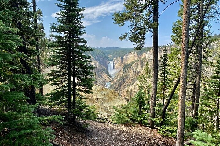 Yellowstone Grand Teton & Jackson Hole 5-day Fully Guided Tour