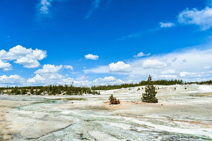 Yellowstone Grand Teton & Jackson Hole 5-day Fully Guided Tour