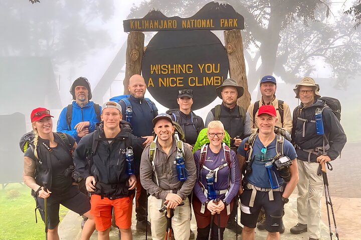 Kilimanjaro Day Trek: Rainforest Experience to Mandara Hut