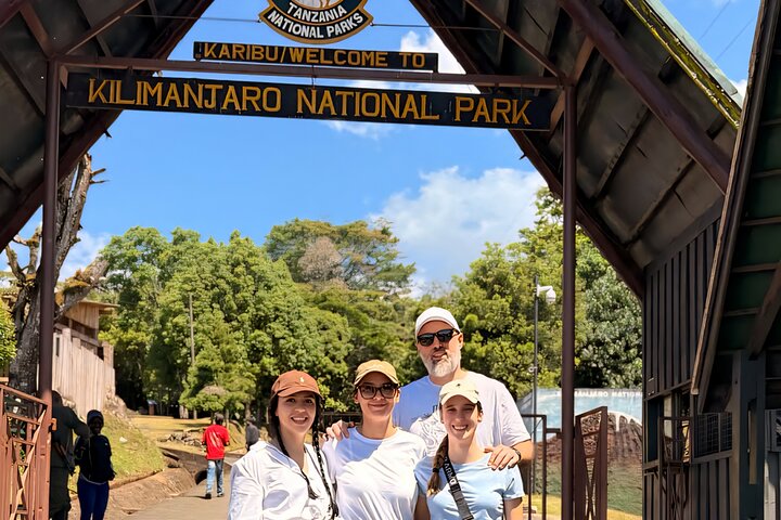 Kilimanjaro Day Trek: Rainforest Experience to Mandara Hut