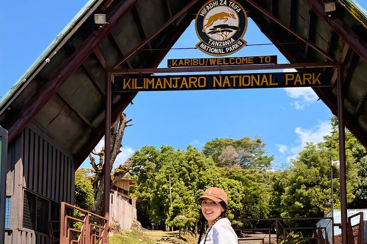 Kilimanjaro Day Trek: Rainforest Experience to Mandara Hut