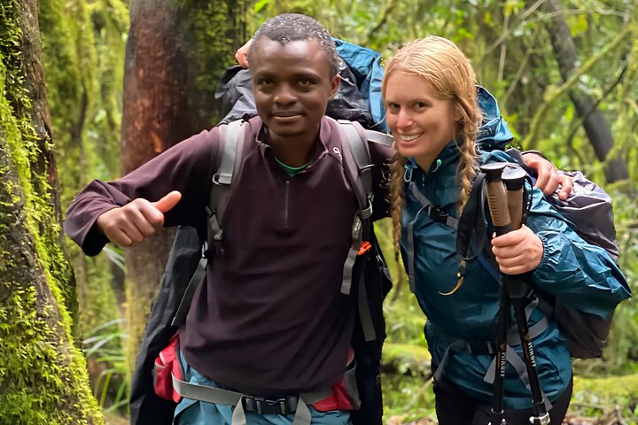 Kilimanjaro Day Trek: Rainforest Experience to Mandara Hut