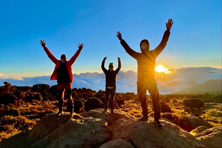Kilimanjaro Day Trek: Rainforest Experience to Mandara Hut