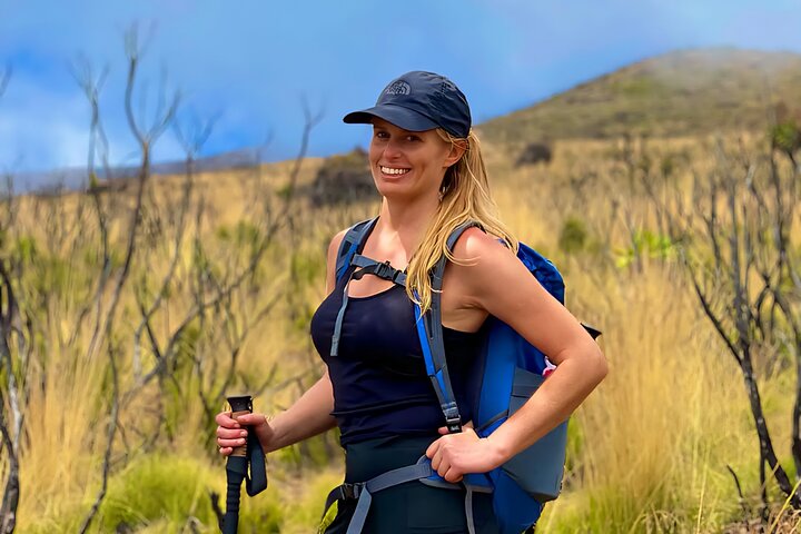 Kilimanjaro Day Trek: Rainforest Experience to Mandara Hut