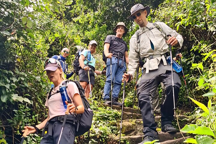 Kilimanjaro Day Trek: Rainforest Experience to Mandara Hut