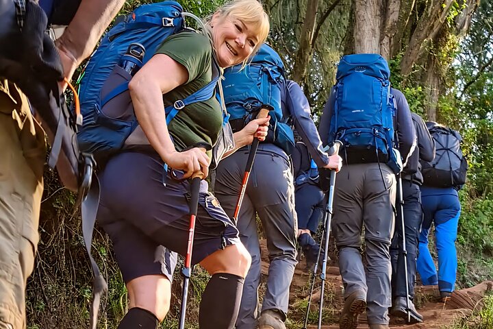 Kilimanjaro Day Trek: Rainforest Experience to Mandara Hut